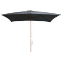  Parasol ogrodowy na drewnianym słupku, 200x300 cm, antracytowy Lumarko! Lumarko!