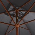  Parasol ogrodowy na drewnianym słupku, 200x300 cm, antracytowy Lumarko! Lumarko!