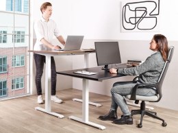 Biurko regulowane elektrycznie 160 x 72 cm czarno-białe DESTINES Lumarko!