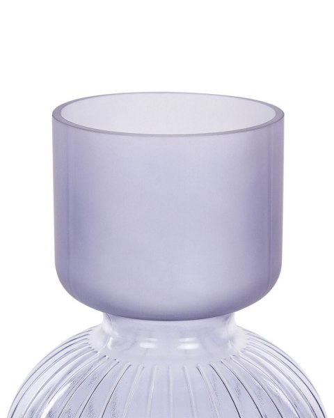Wazon na kwiaty THETIDIO Szkło 26 cm Fioletowy