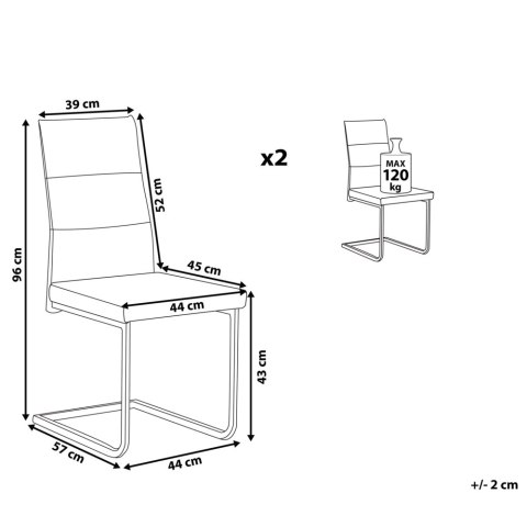 Zestaw 2 krzeseł do jadalni ROCKFORD Welur Szary