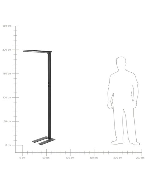 Lapmpa podłogowa LED ORION Z czujnikiem ruchu Metal Czarny