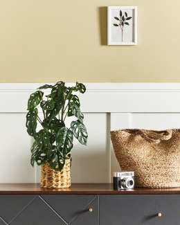 Sztuczna roślina doniczkowa 53 cm MONSTERA ADANSONII Lumarko!