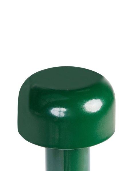 Bezprzewodowa lampa stołowa LED BESOS Ze ściemniaczem Metal Zielony