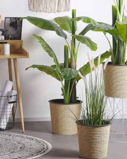Sztuczna roślina doniczkowa 87 cm REED PLANT Lumarko!
