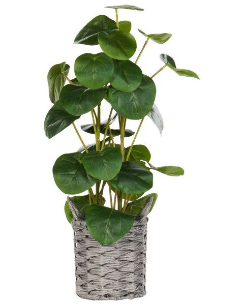 Sztuczna roślina doniczkowa 55 cm KIBETI