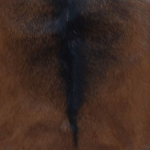  Składany stołek, skóra naturalna i lite drewno tekowe Lumarko! Lumarko!