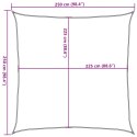  Żagiel przeciwsłoneczny, 160 g/m², piaskowy, 2,5x2,5 m, HDPE Lumarko! Lumarko!