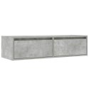  Szafka pod TV z LED, szarość betonu, 100x35,5x25 cm Lumarko! Lumarko!
