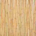 Ogrodzenie z bambusa, 300 x 100 cm Lumarko! Lumarko!