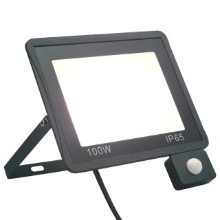 Reflektor LED z czujnikiem, 100 W, zimne białe światło Lumarko! Lumarko!