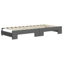 Sofa rozsuwana z materacami, ciemnoszara, 100x200 cm, tkanina Lumarko! Lumarko!