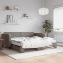 Sofa rozsuwana z materacami, kolor taupe, 100x200 cm, tkanina Lumarko! Lumarko!