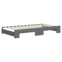 Sofa rozsuwana z szufladami, ciemnoszara, 100x200 cm, tkanina Lumarko! Lumarko!