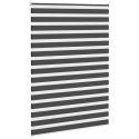 Roleta zebra, czarna, szerokość tkaniny 150,9 cm, poliester Lumarko!