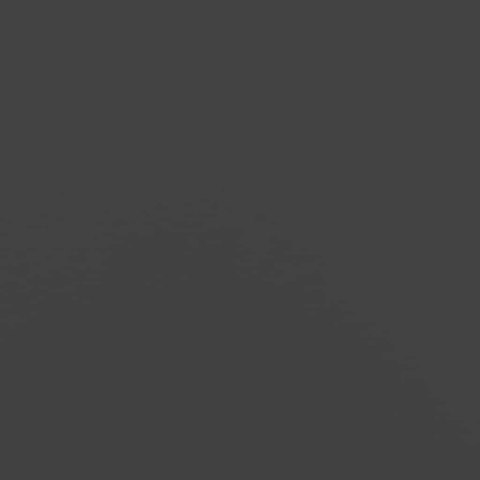 Stojak na drewno opałowe, czarny, 60x25x100 cm Lumarko!