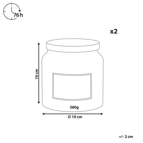 Zestaw 2 świeczek zapachowych ABSOLUTE ALCHEMY Wosk sojowy Nuty owocowe Świeże nuty