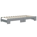 Sofa rozsuwana z materacami, jasnoszara, 90x200 cm, tkanina Lumarko!
