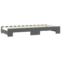 Sofa rozsuwana z szufladami, ciemnoszara, 90x190 cm, tkanina Lumarko!
