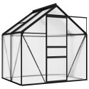 Szklarnia, antracytowa, aluminium, 2,47 m² Lumarko!