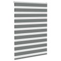 Roleta zebra, ciemnoszara, szerokość tkaniny 95,9 cm, poliester Lumarko!
