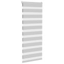Roleta zebra, jasnoszara, szerokość tkaniny 50,9 cm, poliester Lumarko!