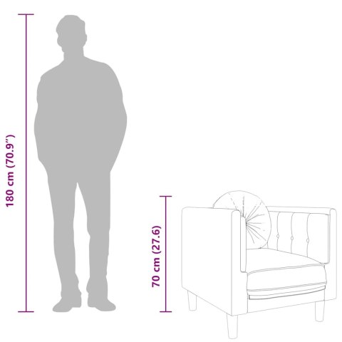 Fotel z poduszką, różowy, aksamit Lumarko!