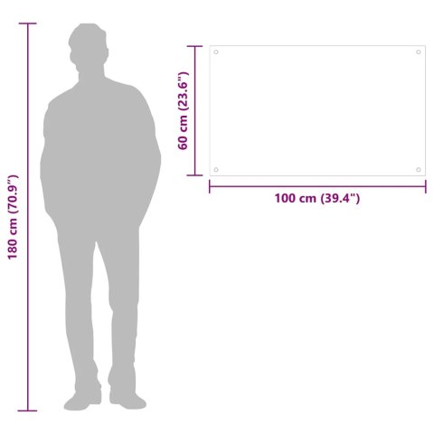 VidaXL Panel ochronny do kuchni, czarny, 100x60 cm, szkło hartowane