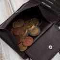 Brązowy portfel męski skórzany smukły poziomy Paolo Peruzzi AL-17-BR