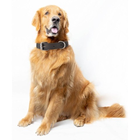 Obroża dla psa skórzana brązowa rozmiar L/XL Petsome 16P02L