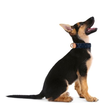 Modna skórzana obroża dla psa rozmiar S pleciona Petsome 12P07S