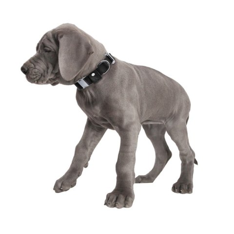 Solidna obroża z canvasu dla psa rozmiar S 15P01S