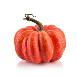 Figura Dynia 16x14cm Aw25