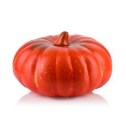 Figura Dynia 18x12,5cm Aw25