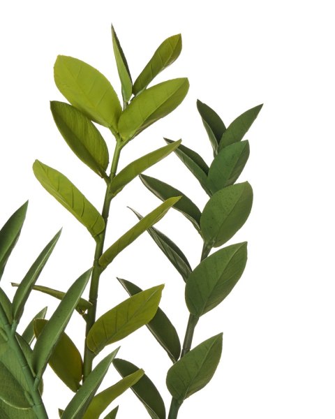 Sztuczna roślina ZAMIIFOLIA 76 cm Zielony
