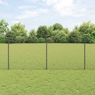 VidaXL Ogrodzenie z siatki łańcuchowej z słupkiem 10 x 1 m Szary