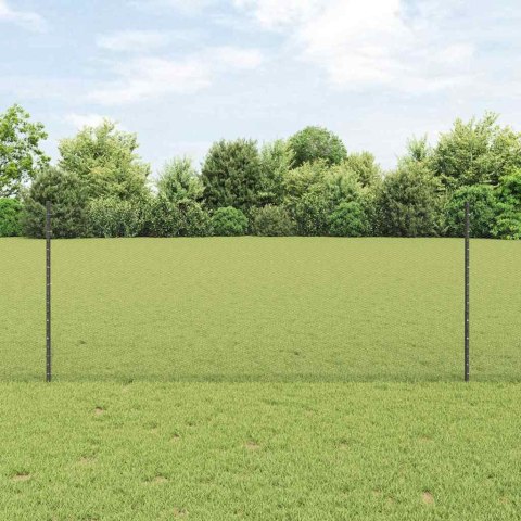 VidaXL Sześciokątne ogrodzenie z słupkiem 10 x 1 m Stal pokryta PVC