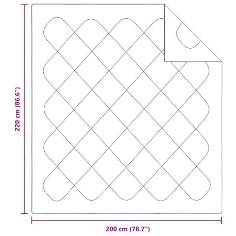 Koce i kołdry Biały 200 x 220 cm Mikrofibra Lumarko!