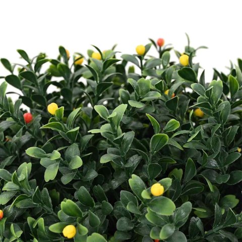 Kula Boxwood Zielony 35 x 35 x 50 cm Z tworzywa sztucznego