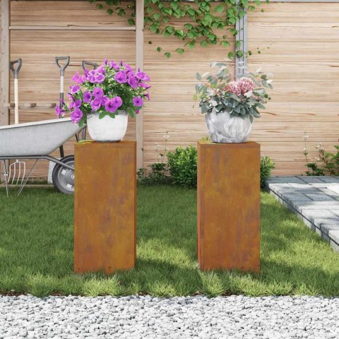 Stojaki na rośliny 2 pcs Rdzawy 24 x 24 x 55 cm Lumarko!