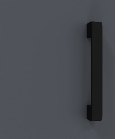 Szafka do przechowywania w kuchni z półką Antracyt Stal Lumarko!