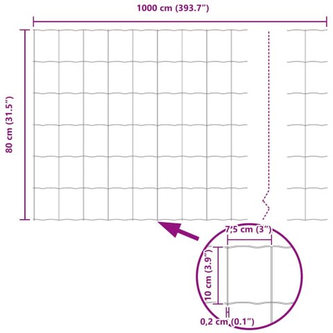 Euro Fence 0.8x10 m Stal ocynkowana Lumarko!