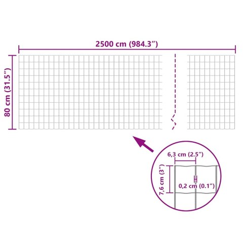 VidaXL Euro ogrodzenie, stalowe, 25 x 0,8 m, zielone