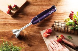 Blender Ręczny Berlinger Haus Bh-9381