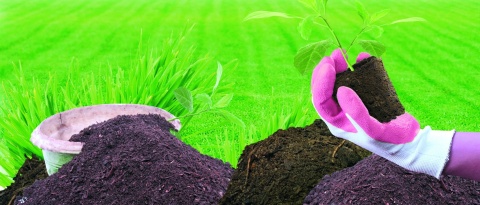 Spontex Rękawice Lady Garden M 30147