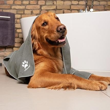 Vileda Pet Pro Ręcznik Microfibre Tower M 45x70cm 172650 CN..