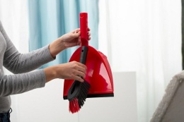 Vileda Szufelka Ze Zmiotką 2w1 Czerwona 141742