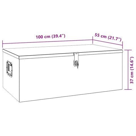  Skrzynka do przechowywania, srebrna, 100x55x37 cm, aluminium Lumarko!