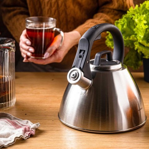 Czajnik Stalowy Z Gwizdkiem 2,5l Klausberg Kb-7951