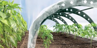 Tunel foliowy Prosperplast Floo Tunnels 360 cm zielony